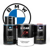 Kit Peinture BMW (en pot) + Diluant + Vernis
