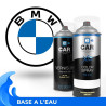 Kit Bombe de Peinture BMW + Vernis 2K