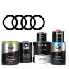 Pack Peinture Voiture Premium Audi