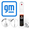 Stylo Retouche Peinture General Motors USA