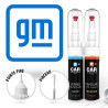 Kit Stylo Retouche General Motors USA + Vernis
