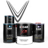 Kit Peinture VinFast (en pot) + Diluant + Vernis