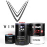 Kit Peinture VinFast Brillant Direct