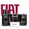 Kit Peinture Fiat (en pot) + Diluant + Vernis