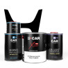 Kit Peinture Honda (en pot) + Diluant + Vernis