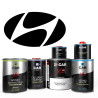 Pack Peinture Voiture Premium Hyundai