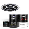 Kit Peinture Lada Brillant Direct