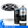Kit Bombe de Peinture Lada + Vernis 2K