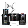 Kit Peinture DS Automobiles (en pot) + Diluant + Vernis
