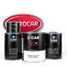 Kit Peinture Microcar (en pot) + Diluant + Vernis