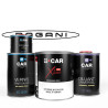 Kit Peinture Pagani (en pot) + Diluant + Vernis