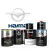 Pack Peinture Voiture Premium Haima