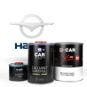 Kit Peinture Haima Brillant Direct