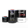 Kit Peinture toutes teintes Brillant Direct