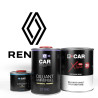 Kit Peinture Renault Brillant Direct